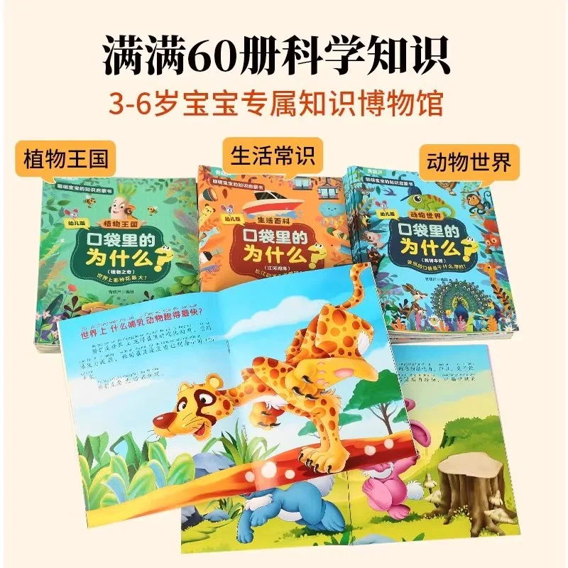 青葫芦绘本口袋里的为什么20册彩图注音版