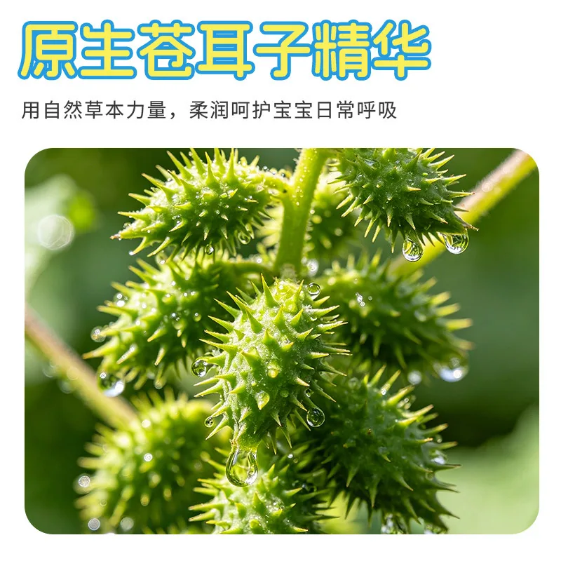 葵花苍耳子鼻舒贴儿童装1盒12贴（细节图 1）