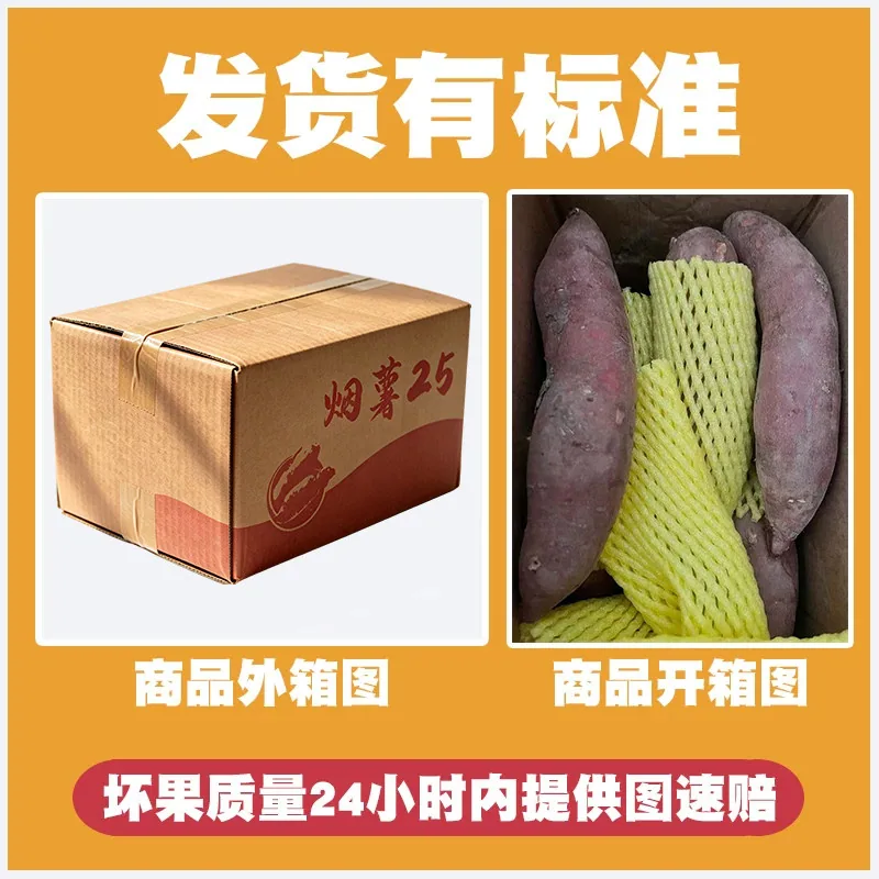 山东烟薯25号糖心蜜薯5斤装烤后流油（细节图 1）