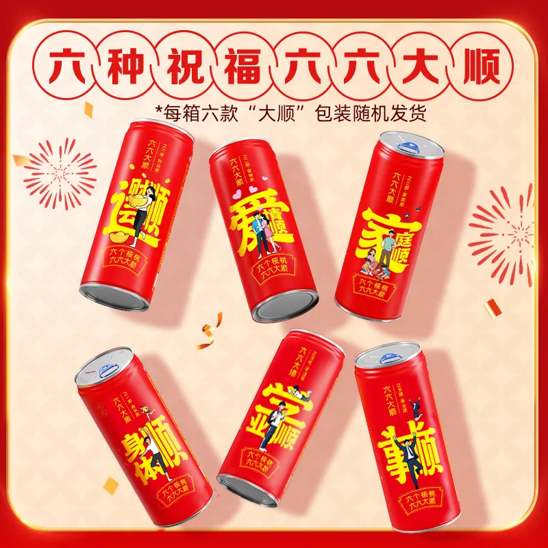 六个核桃顺罐礼盒16罐