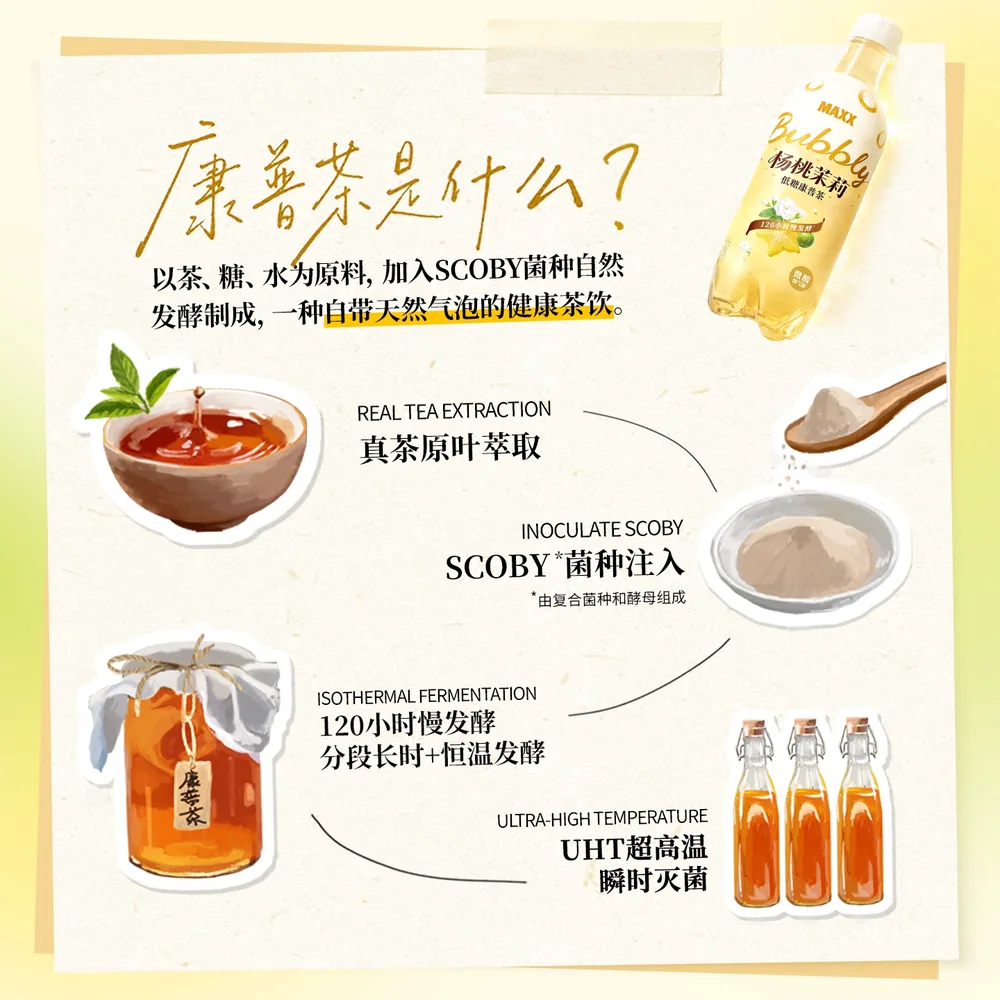 MAXX杨桃茉莉康普茶气泡饮料500ml×5瓶整箱（细节图 1）