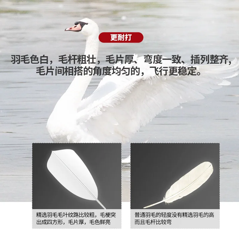 迪科斯羽毛球耐打王3只装鹅毛球（细节图 1）