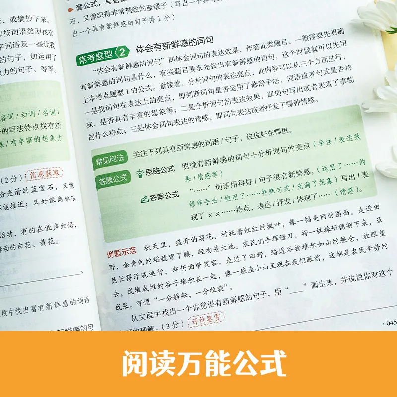 开心小学语文真题阅读训练100篇1-6年级封面（细节图 1）