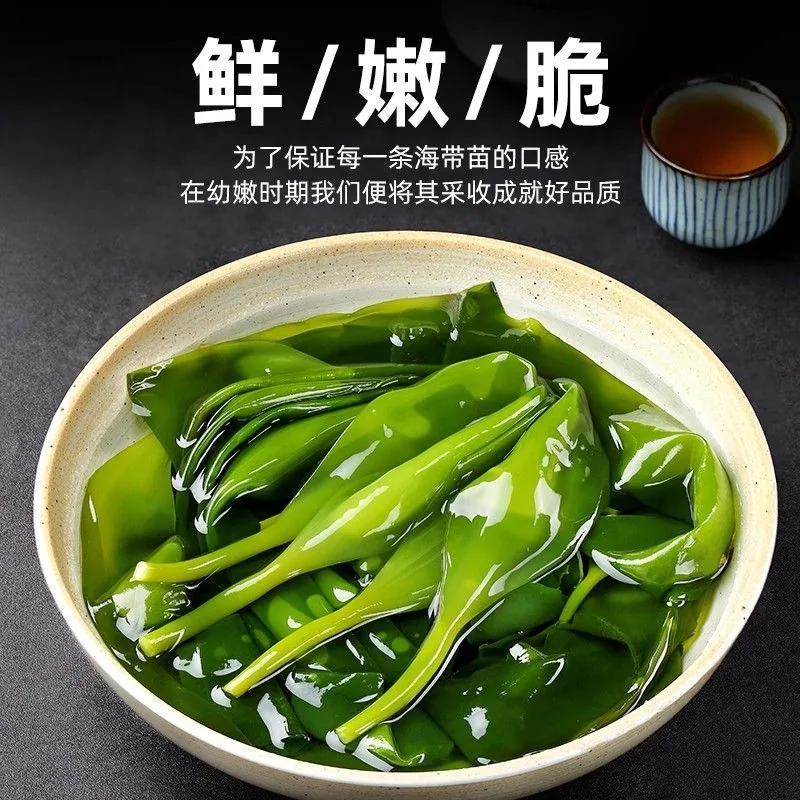 醉天舟霞浦嫩海带苗400g袋装（细节图 1）