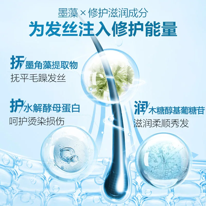 b2v墨藻控油修护洗发水580ml两瓶装（细节图 2）