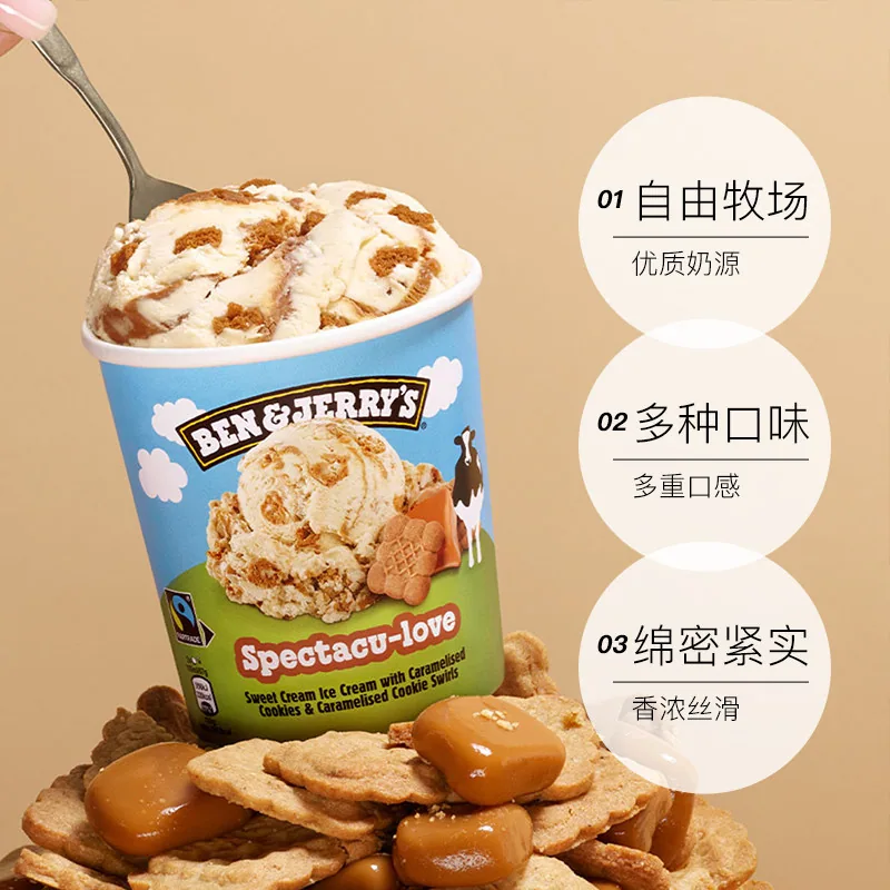 Ben&Jerry's本杰瑞冰淇淋465ML
