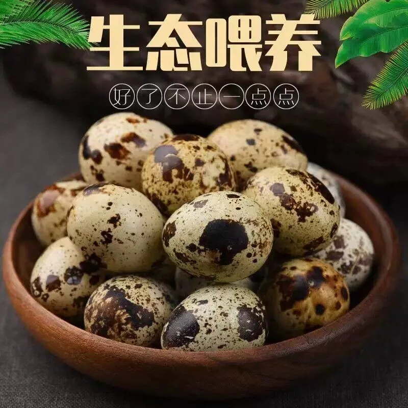 国货严选旗舰散养生鹌鹑蛋50枚整箱（细节图 2）