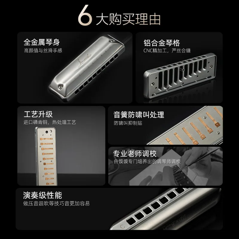 AssassinPro刺客布鲁斯蓝调十孔口琴