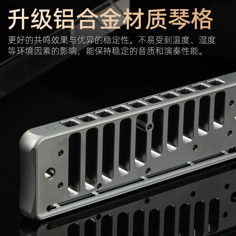 AssassinPro刺客布鲁斯蓝调十孔口琴主图（细节图 1）