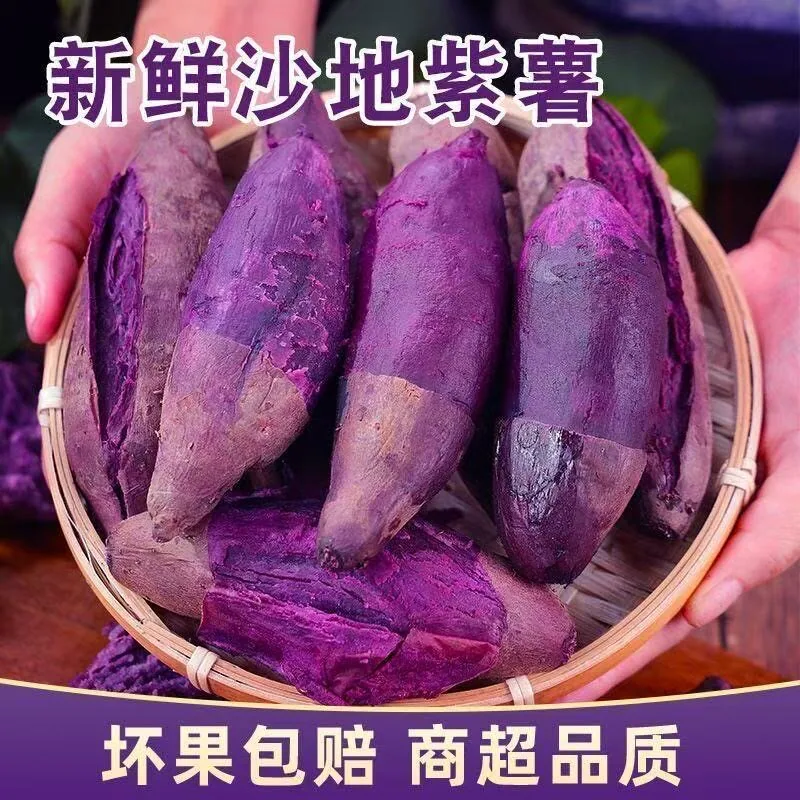 新鲜沙地紫薯4.7斤