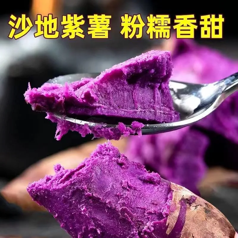 官方国货甄选新鲜沙地紫薯4.7斤（细节图 2）
