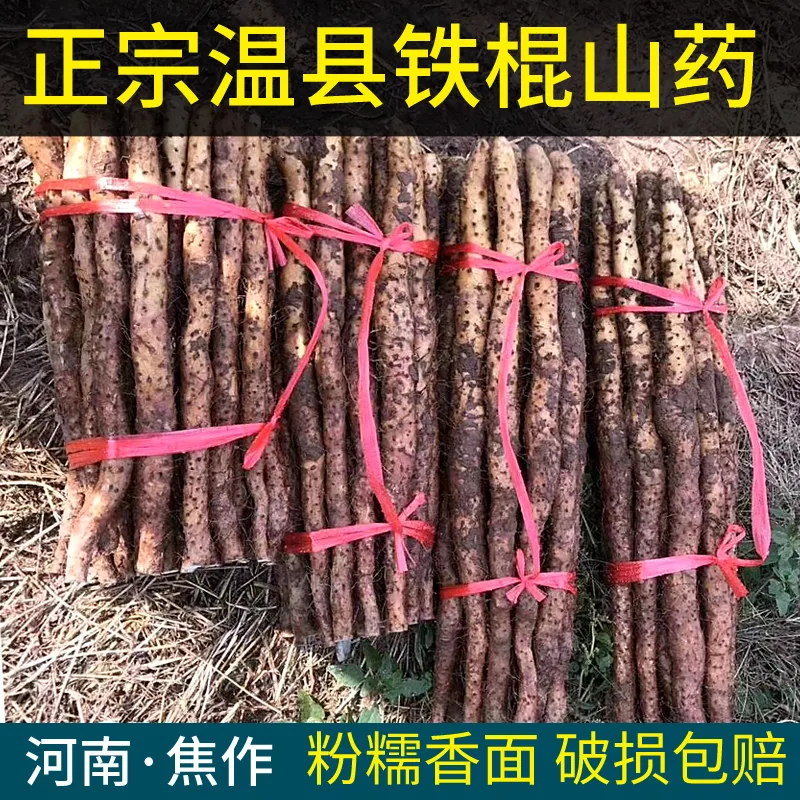 温县垆土铁棍山药怀山药5斤