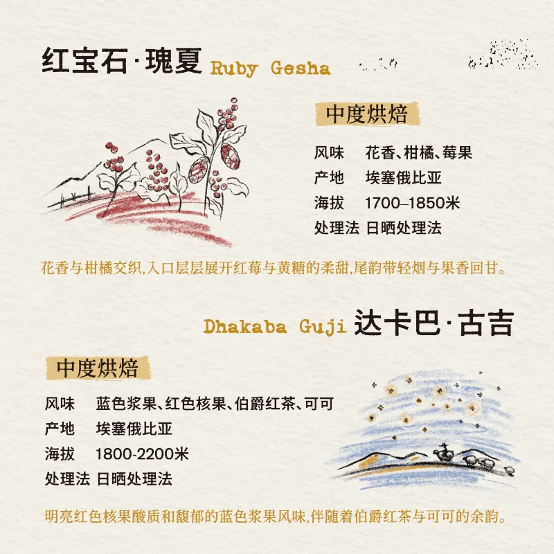 Cafe Ora风味巡礼挂耳组合手冲咖啡包装（细节图 1）