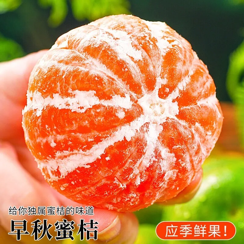 国货严选旗舰云南无籽蜜橘5斤