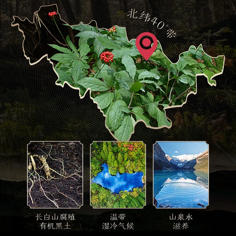 长白山人参全须生晒参红参整根礼盒装（细节图 2）
