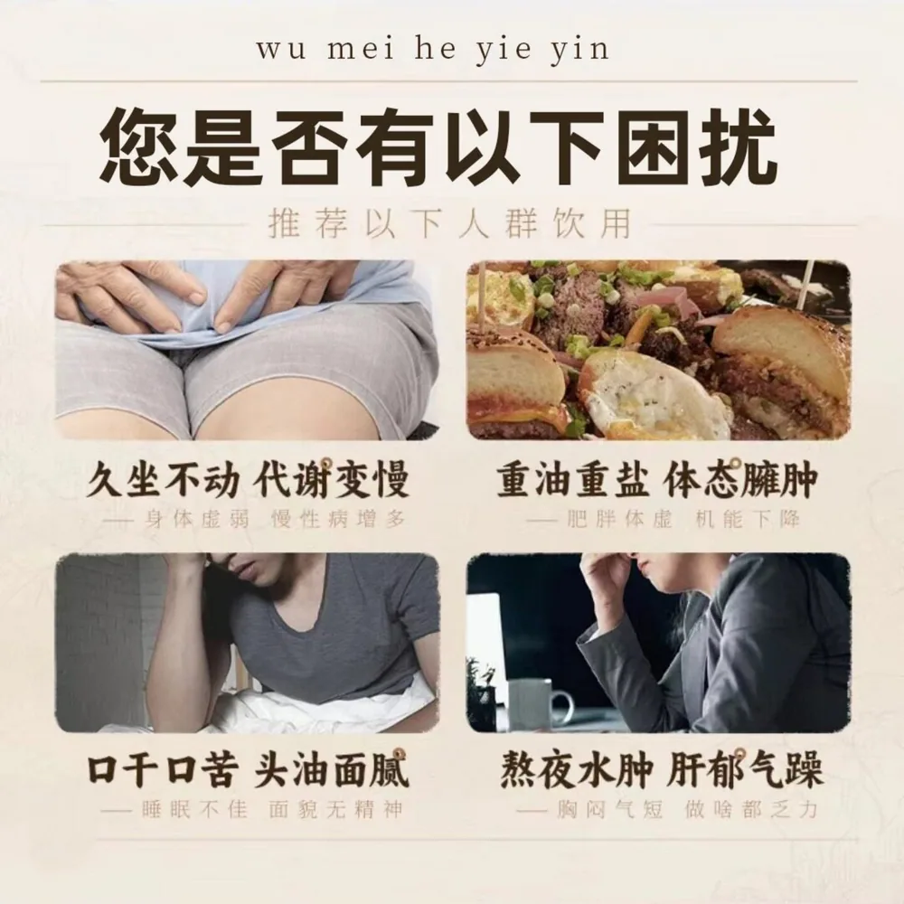 御泷堂乌梅荷叶饮1盒10包独立小袋装（细节图 2）