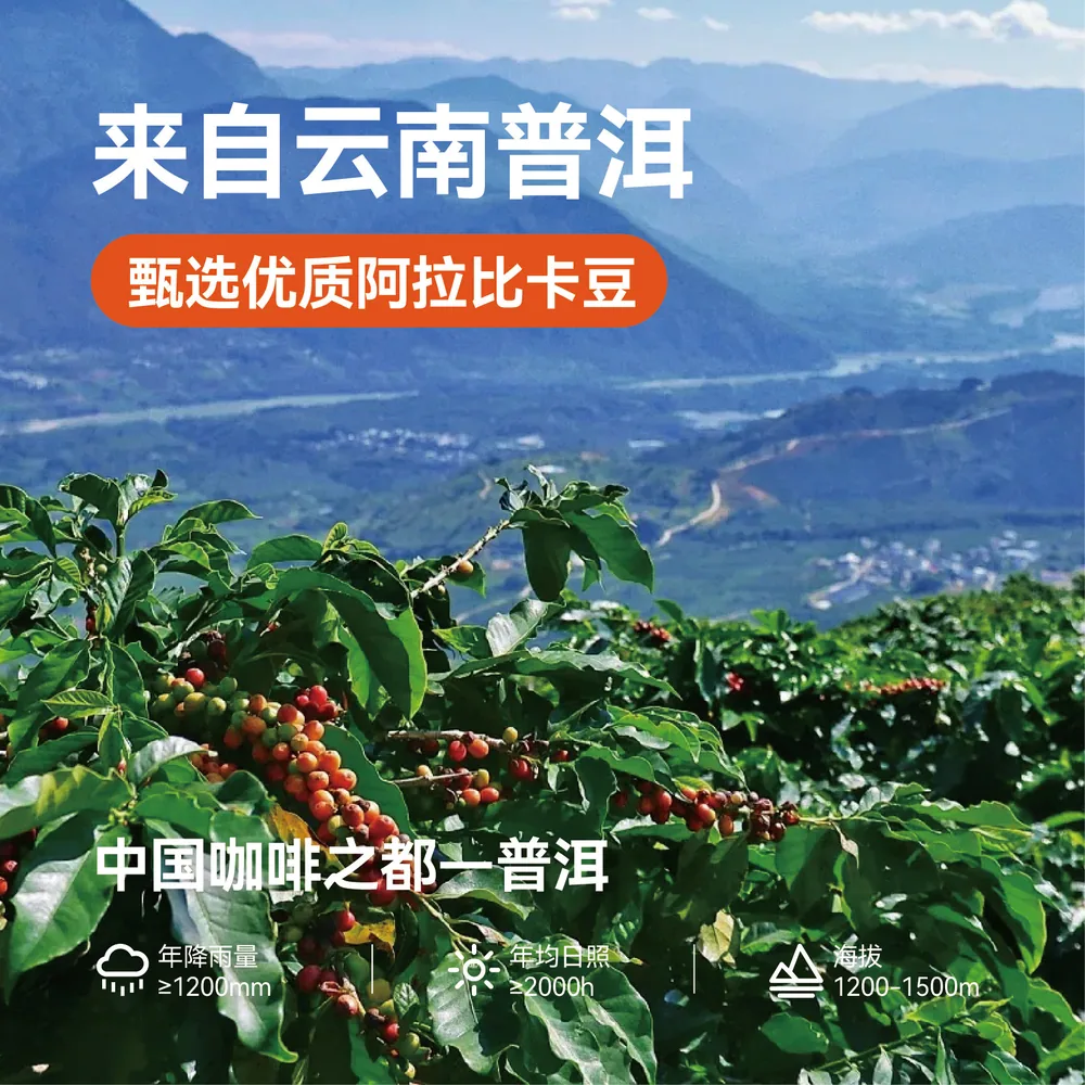 加由咖啡加油美式黑咖啡50条