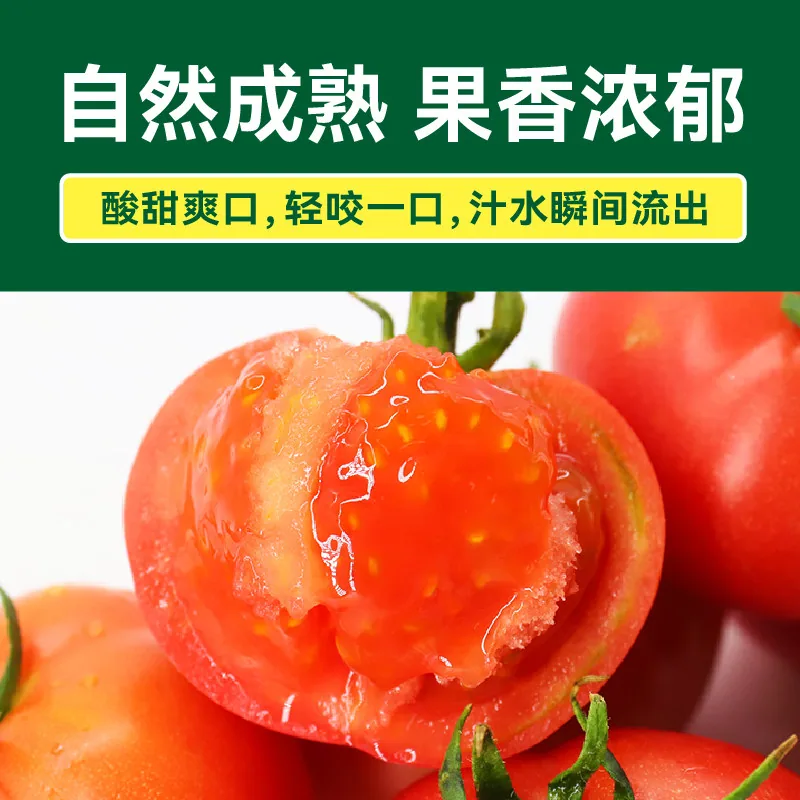 绿行者沙瓤粉番茄1.5kg