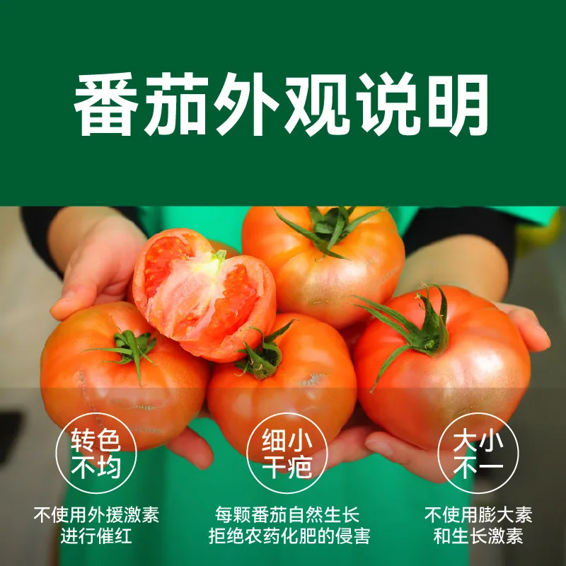 绿行者沙瓤粉番茄1.5kg整箱（细节图 2）