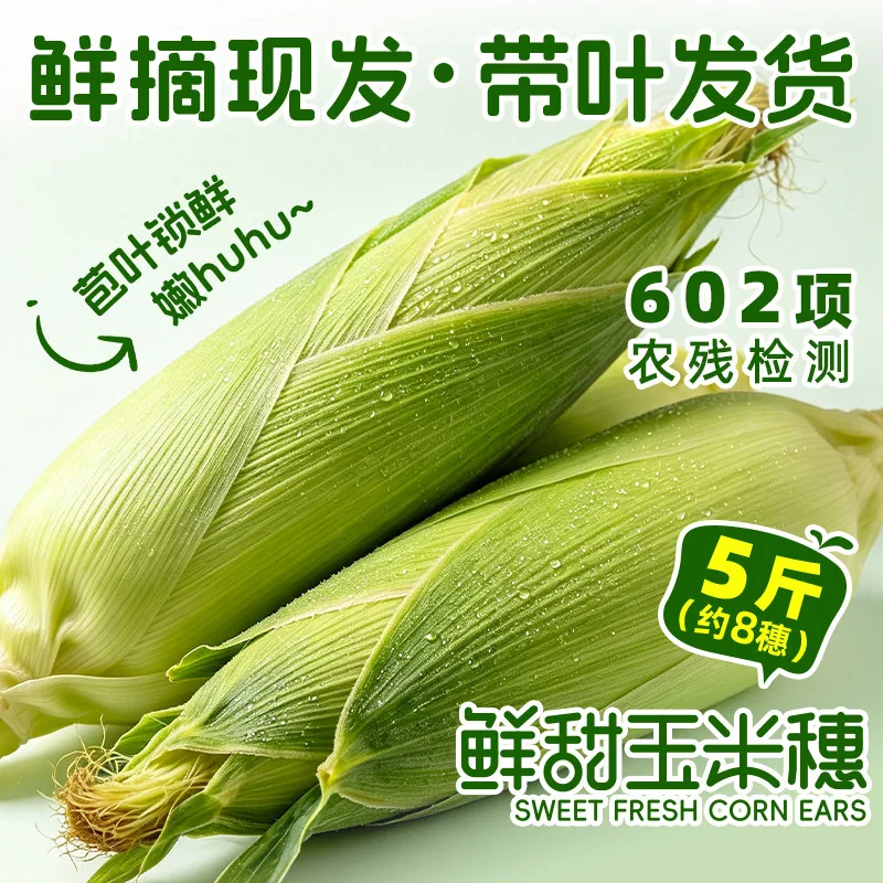 东北农嫂奥弗兰水果甜玉米穗5斤装（细节图 1）