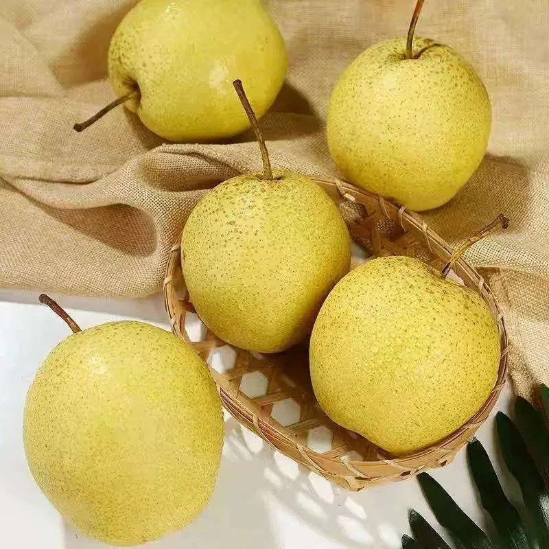 正宗山西特产冰糖雪梨4.5斤整箱（细节图 1）