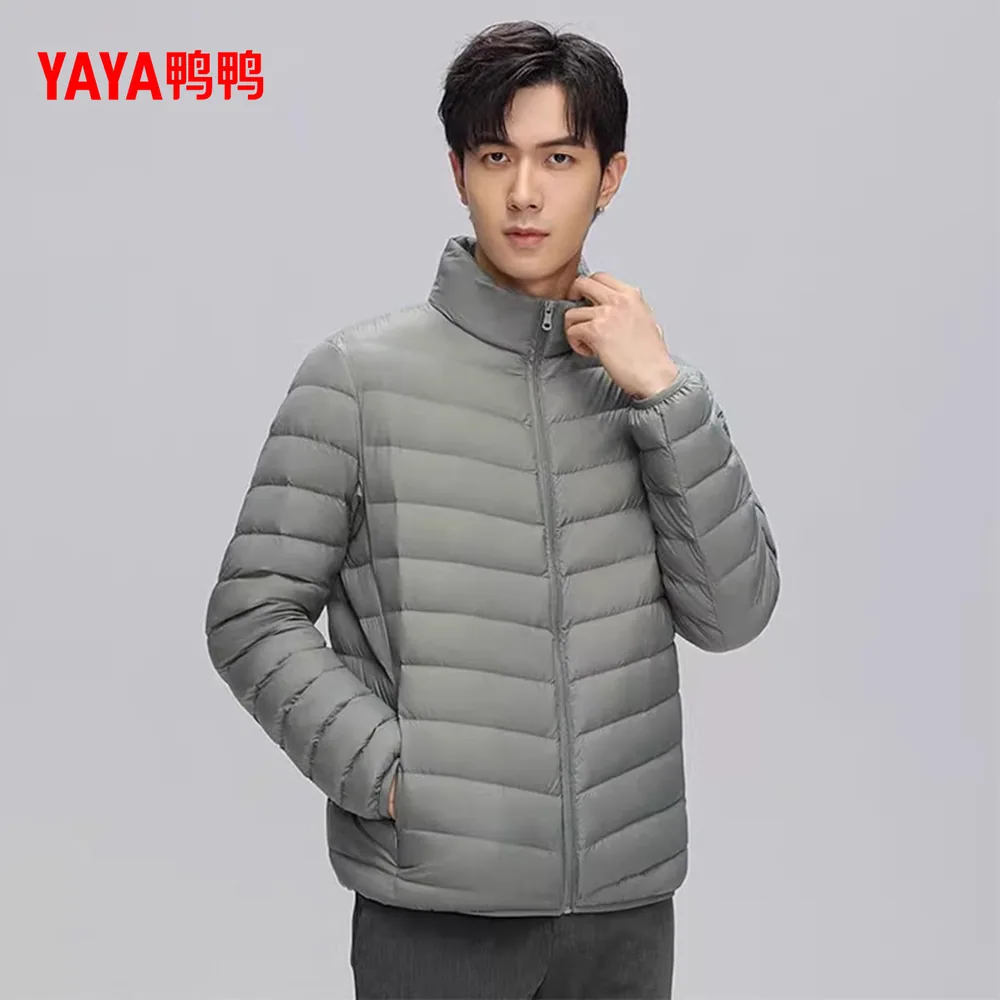 鸭鸭立领排骨男士羽绒服短款（细节图 1）
