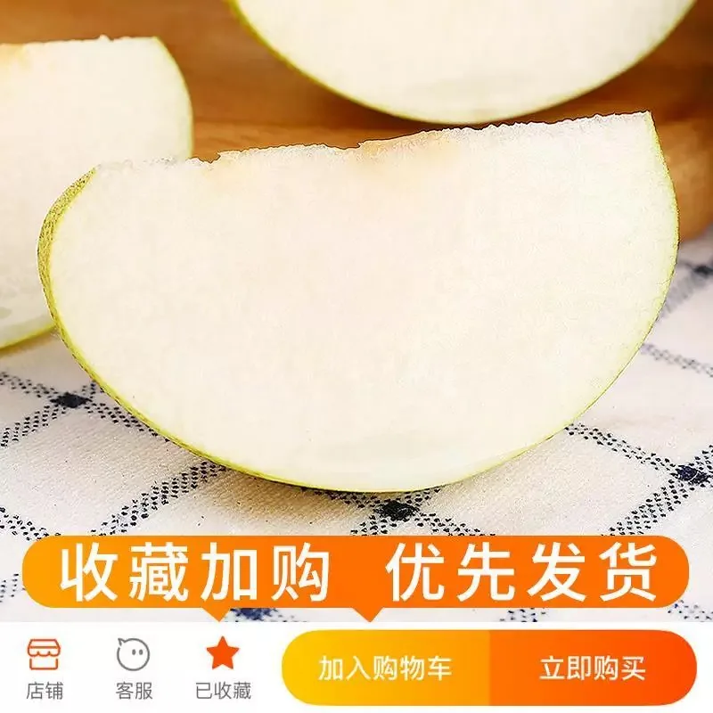 山西新鲜脆甜多汁雪梨5斤