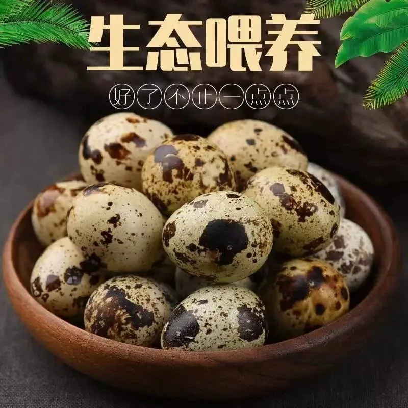 天天特卖工厂农家自产鹌鹑蛋50枚装（细节图 1）