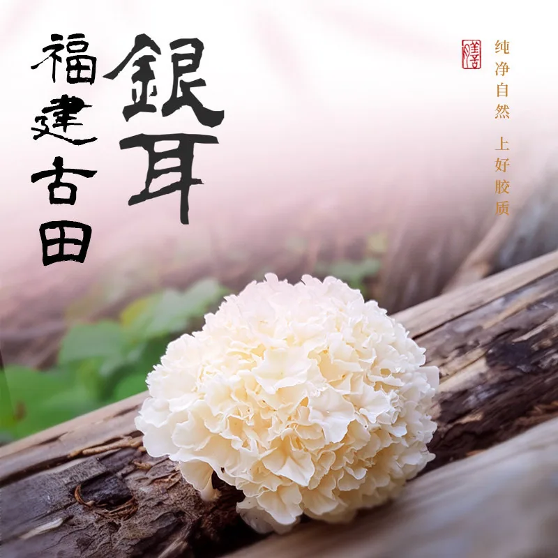 西麦燕窝银耳燕麦片礼盒