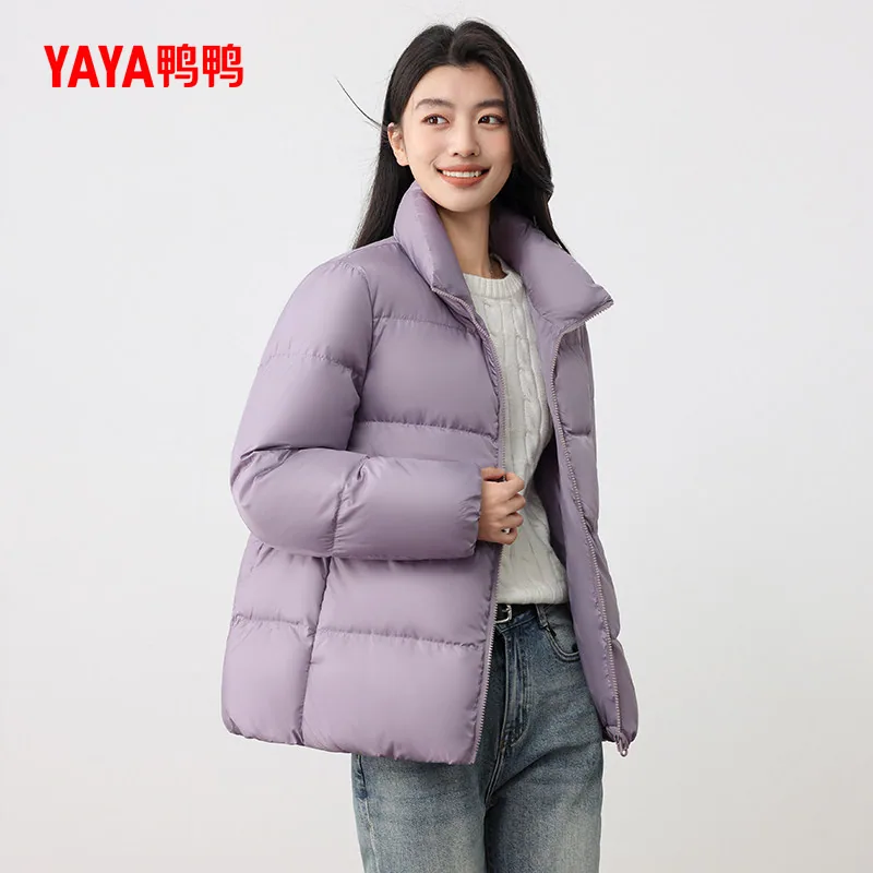 鸭鸭立领短款羽绒服白鸭绒款（细节图 1）