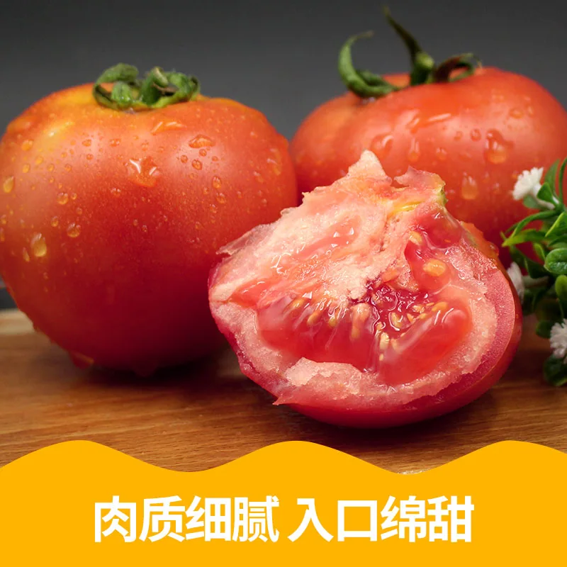 正宗普罗旺斯西红柿沙瓤番茄5斤装（细节图 1）