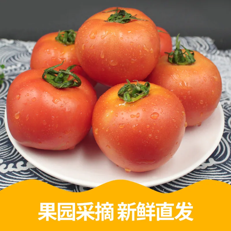正宗普罗旺斯西红柿沙瓤番茄5斤装（细节图 2）