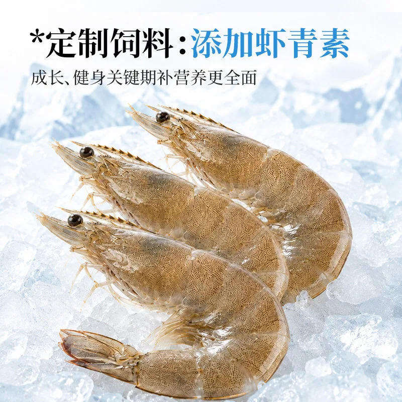正大琥珀虾鲜活速冻整箱装2盒主图（细节图 1）