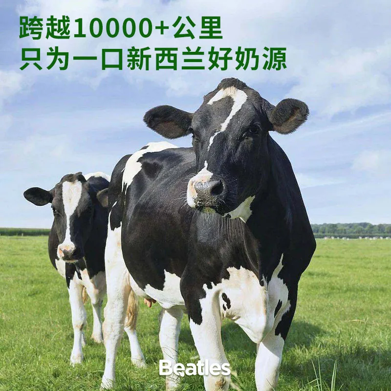 比逗仕婴幼儿山药核桃饼干独立小包装（细节图 2）