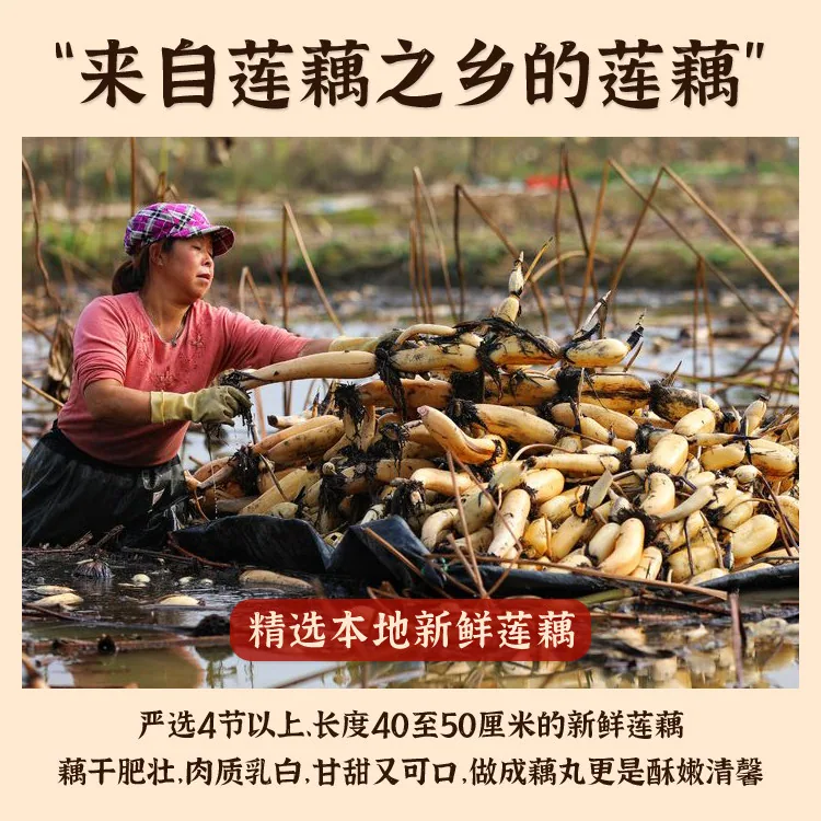 清多多藕丸湖北农家手工258g袋装（细节图 1）