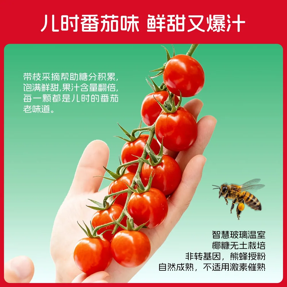 一柿缘樱桃串番茄1000g礼盒