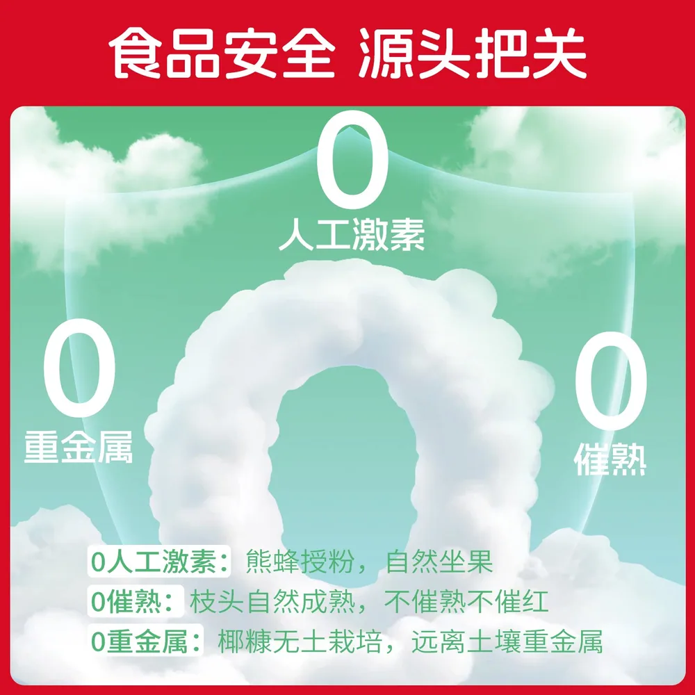 一柿缘樱桃串番茄1000g礼盒装红黄两色（细节图 1）