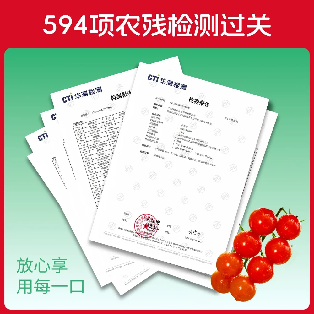 一柿缘樱桃串番茄1000g礼盒装红黄两色（细节图 2）
