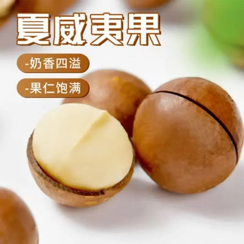 淘严选夏威夷果500g袋装大果开口（细节图 1）