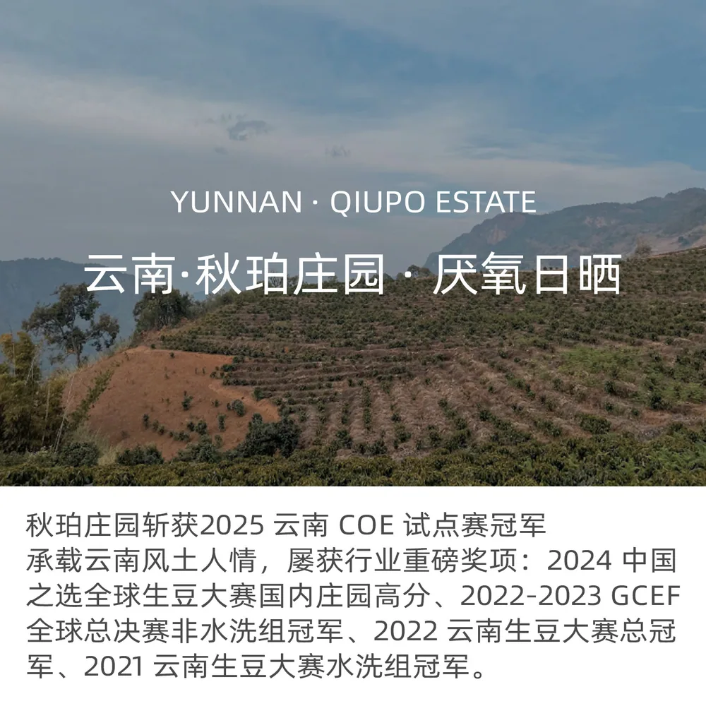 咖语花香SOE意式云南咖啡豆