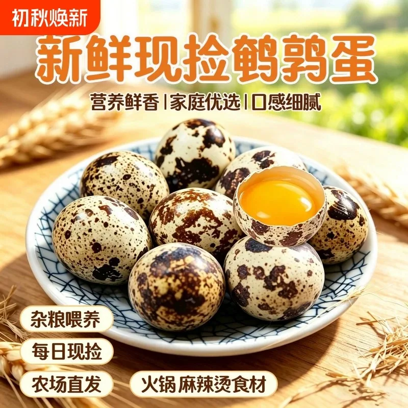 天天特卖工厂生鹌鹑蛋