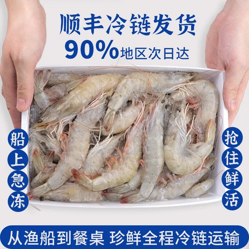 虾有虾途青岛大虾2.8斤