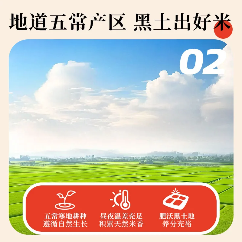 茂农钜五常大米2.5kg五斤装米粒（细节图 1）