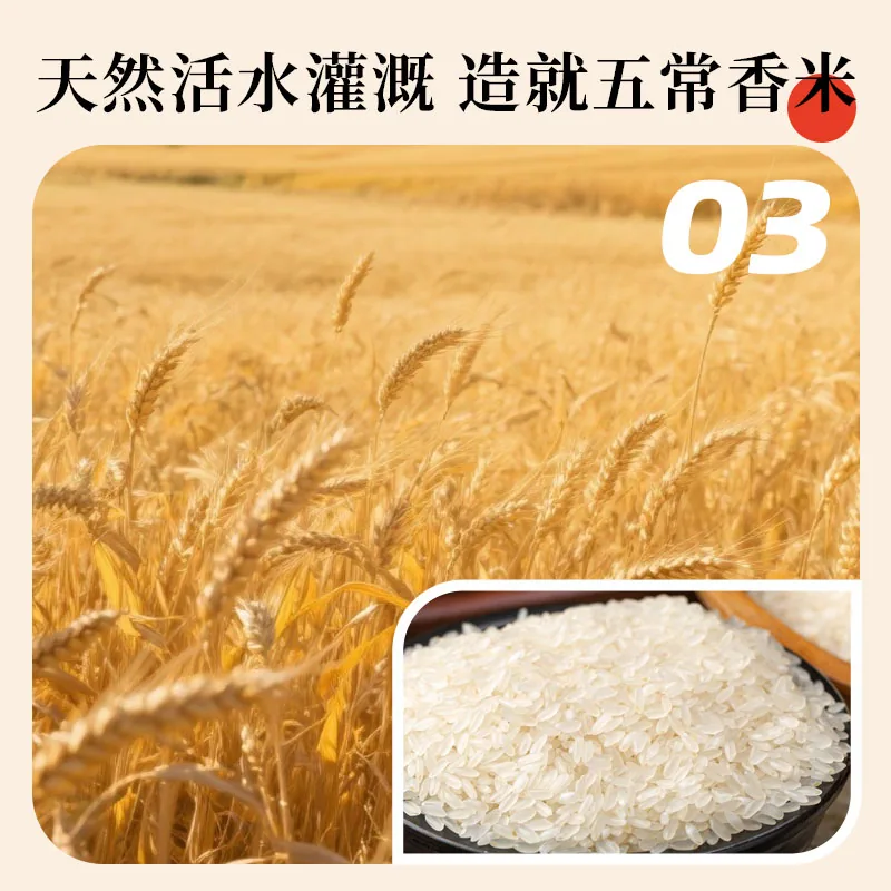 茂农钜五常大米2.5kg五斤装米粒（细节图 2）