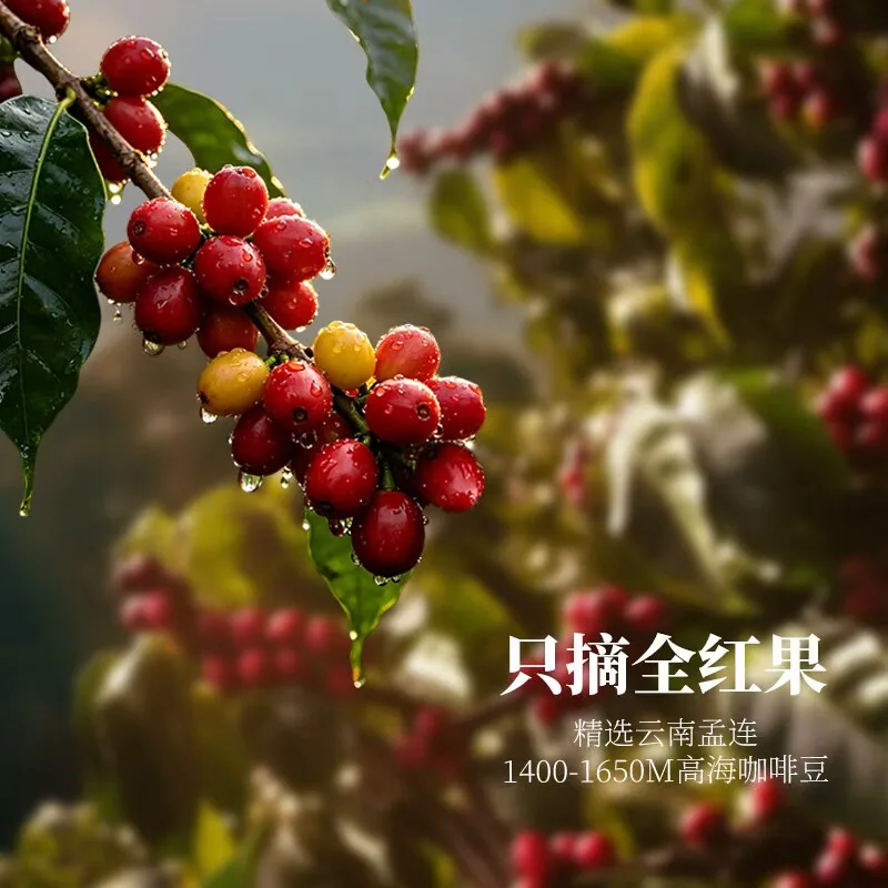胧麓精品拼配咖啡豆100g