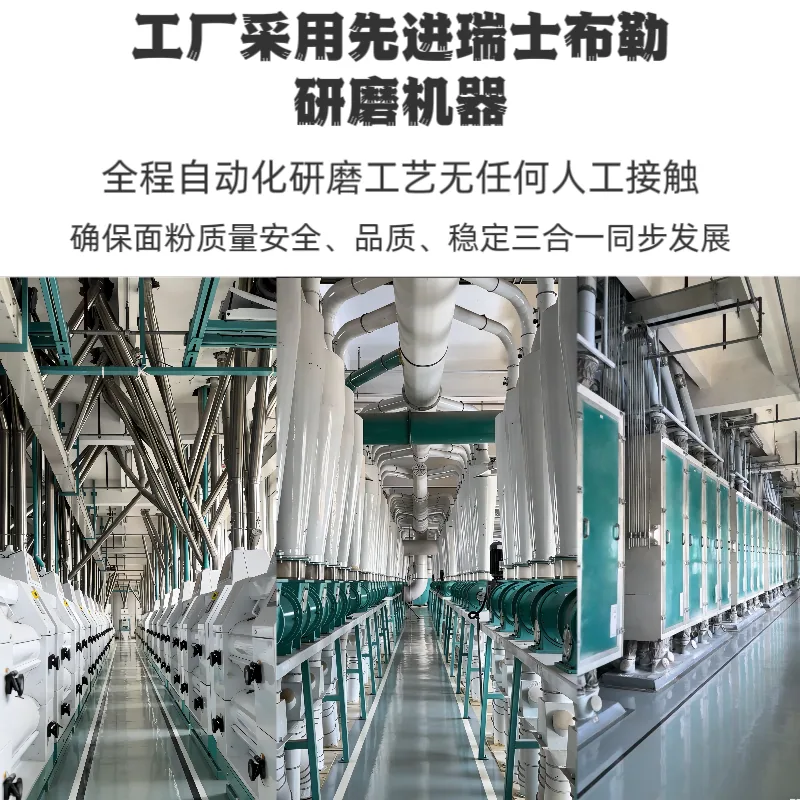 新麦都奇台全麦粉10斤装（细节图 2）