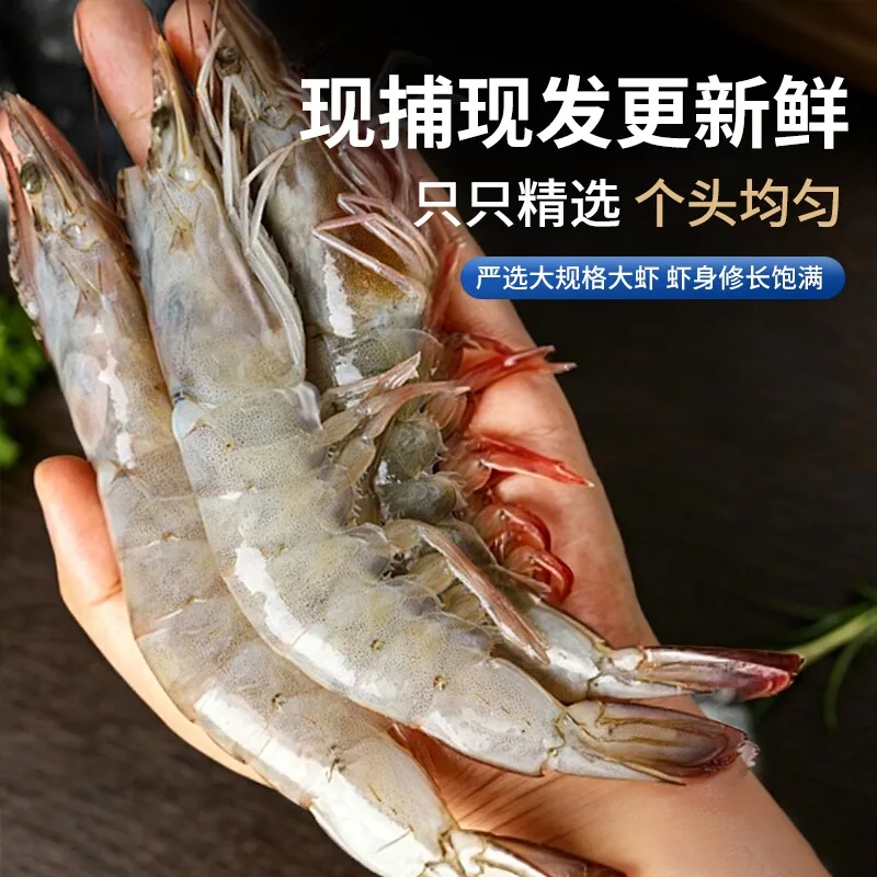 青岛大虾对虾带箱3斤