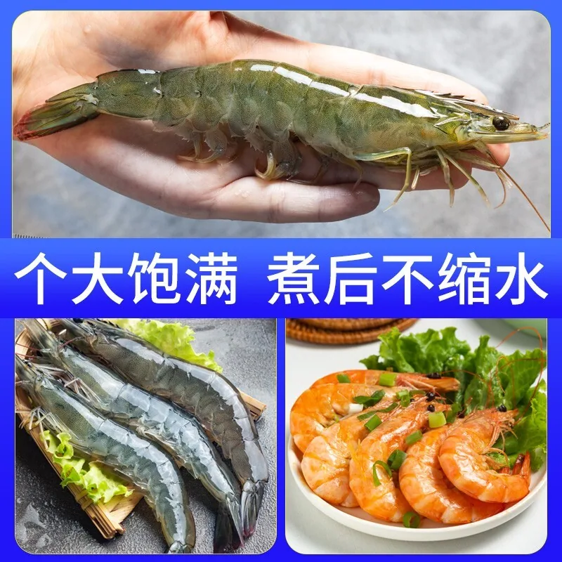 青岛大虾对虾带箱3斤 30/40规格（细节图 1）
