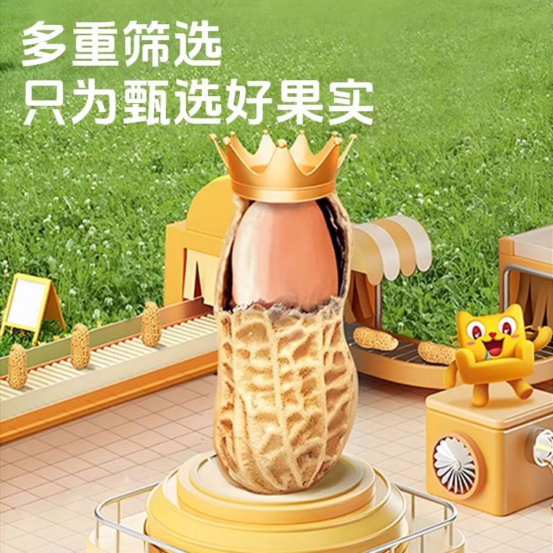 浙梅小花生500g*2袋带壳核桃味零食（细节图 1）