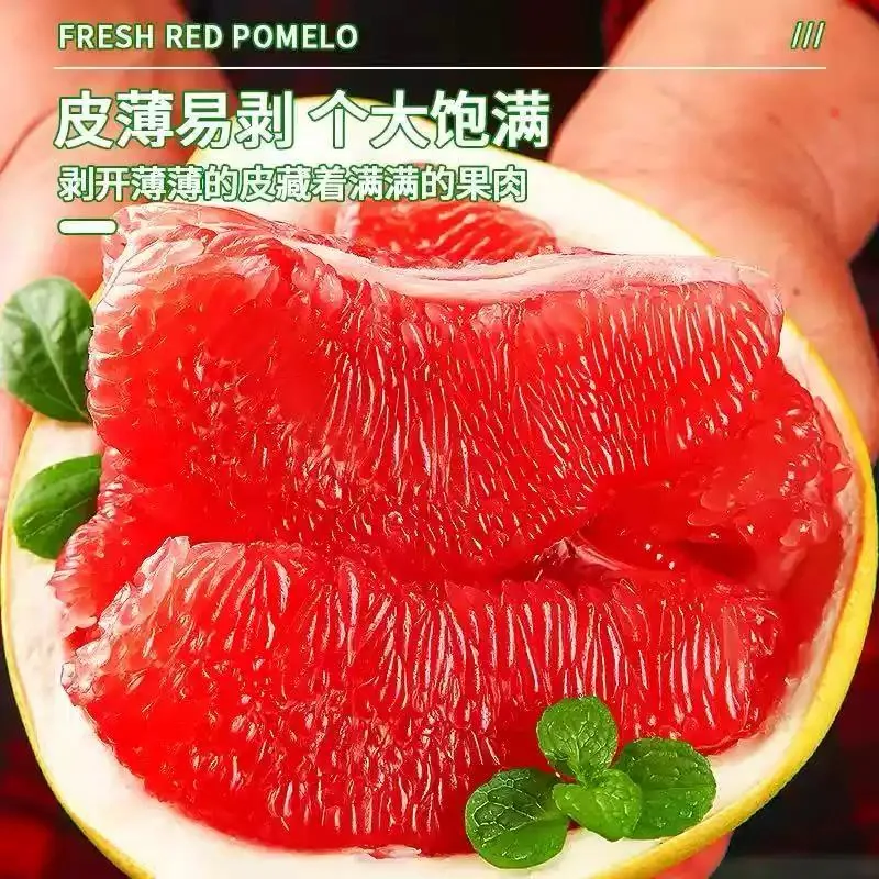 南允鲜漳州平和蜜柚
